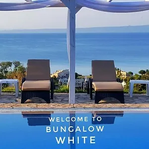 White Tennis & Daire
